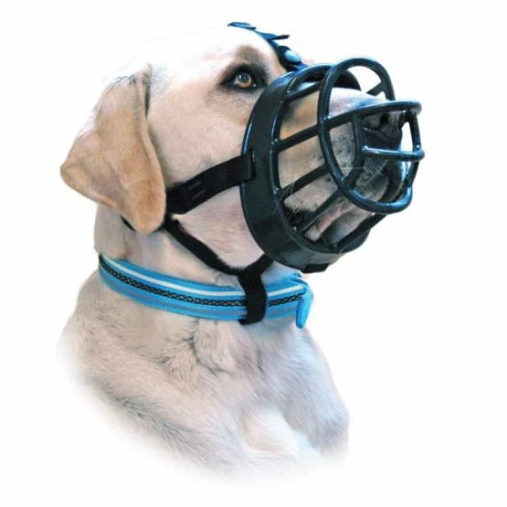 company of animals baskerville ultra dog muzzle