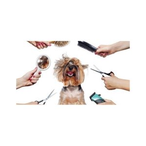 Buy Pet Grooming Service In Kenya- The Royal Pets Store