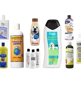 Best Dog Grooming & Cleaning Supplies in Kenya