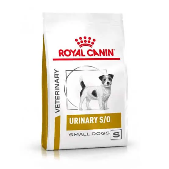 Dog food for shop dogs with uti problems